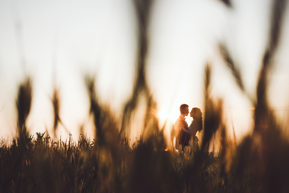 Kissing couple through defocused grass background in sun light. Warm tones